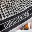 Dior Print 130x130cm Scarf 2019
