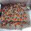 Gucci GG and Strawberry Print Scarf 130x130cm 2019