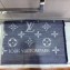 Louis Vuitton Daily Monogram 80x200cm Scarf Gray 2019