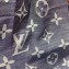 Louis Vuitton Daily Monogram 80x200cm Scarf Gray 2019