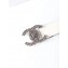 Chanel Width 3cm Braided CC Logo Buckle Leather Belt White