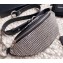 Alexander Wang Attica Fanny Pack Mini Bag with Silver Crystal Rhinestone Chain 2019