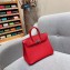 Hermes Birkin 25cm Bag in Original Epsom Leather Red