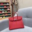 Hermes Birkin 25cm Bag in Original Togo Leather Red