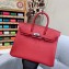 Hermes Birkin 25cm Bag in Original Togo Leather Red