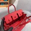 Hermes Birkin 25cm Bag in Original Togo Leather Red