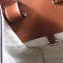 Loewe Classic Calf Hammock Small Bag Salmon Red/Pink/Brown