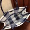 Dior Book Tote Bag In Embroidered Canvas Check Blue 2019