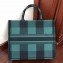 Dior Book Tote Bag In Embroidered Canvas Check Green 2019