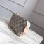 Louis Vuitton Damier Azur Canvas Mini Pochette Accessoires Bag N58010