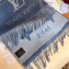 Louis Vuitton Reykjavik Scarf 185x45cm M75704 Denim