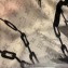 Louis Vuitton Chain Print Monogram Scarf 90x180cm Creamy 2019