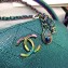 Chanel Grained Metallic Lambskin with Rainbow Metal Mini Camera Case Bag AS0764 Green 2019
