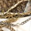 Chanel Lambskin All About Chains Hobo Bag AS0774 White 2019