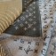 Louis Vuitton Monogram Lines Scarf 195x70cm M71266 2019
