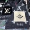 Louis Vuitton Cold Reykjavik Scarf M74353 Black 191x46cm 2019