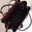 Loewe Boxcalf Lazo Mini Bag Burgundy 2019