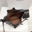 Celine Small Drawstring Bucket Triomphe Canvas Bag Black 2019