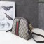 Gucci Web Ophidia GG Canvas Small Shoulder Bag 499621 Coffee