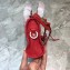 Balenciaga Classic City Nano Bag in Goatskin Red/Gold