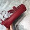 Balenciaga Classic City Nano Bag in Goatskin Dark Red/Silver
