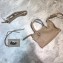 Balenciaga Classic City Nano Bag in Goatskin Beige/Silver