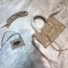 Balenciaga Classic City Nano Bag in Goatskin Beige/Gold