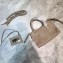 Balenciaga Classic City Nano Bag in Goatskin Beige/Gold