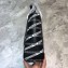 Balenciaga Everyday Mini Shopping Tote XXS Bag All Over Logo Monogram