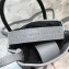 Balenciaga North-South Mini Shopping Phone Holder Bag Gray