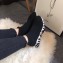 Balenciaga Knit Sock Speed Trainers Sneakers Black/White Logo Sole