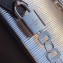 Louis Vuitton Epi Leather Cannes Beauty Case Bag M55316 Argento Silver