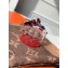 Louis Vuitton Plexiglass Scott Box Bag GI0414