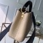 Louis Vuitton Capucines Mini Bag Python Handle and Flap N96265 Beige