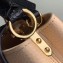 Louis Vuitton Capucines Mini Bag Python Handle and Flap N96265 Beige