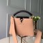 Louis Vuitton Capucines Mini Bag Python Handle and Flap Apricot
