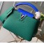 Louis Vuitton Capucines Mini Bag Python Handle and Flap Green/Blue
