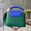 Louis Vuitton Capucines Mini Bag Python Handle and Flap Green/Blue