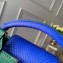 Louis Vuitton Capucines Mini Bag Python Handle and Flap Green/Blue