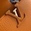 Louis Vuitton Capucines Mini Bag Python Handle and Flap N97076 Yellow