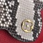 Louis Vuitton Capucines Mini Bag Python Handle and Flap N97074 Red