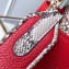 Louis Vuitton Capucines Mini Bag Python Handle and Flap N97074 Red