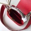 Louis Vuitton Capucines Mini Bag Python Handle and Flap N97074 Red