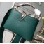 Louis Vuitton Capucines Mini Bag Python Handle and Flap N97075 Green