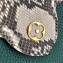 Louis Vuitton Capucines Mini Bag Python Handle and Flap N97075 Green