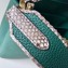 Louis Vuitton Capucines Mini Bag Python Handle and Flap N97075 Green