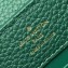 Louis Vuitton Capucines Mini Bag Python Handle and Flap N97075 Green