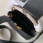 Louis Vuitton Capucines Mini Bag Python Handle and Flap Black