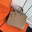 Hermes Birkin 25cm Bag Apricot in Togo Leather With Silver Hardware
