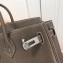 Hermes Birkin 25cm Bag Etoupe in Togo Leather With Silver Hardware